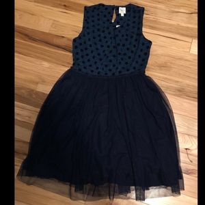 Gorgeous Anthropologie Sparrow Dress Sz M! NWT